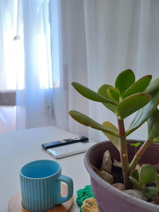 Alojamiento En Tigre Buenos Aires Hotel Ngoại thất bức ảnh